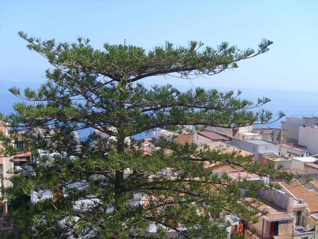 Hotel Delle Palme Летояни Екстериор снимка